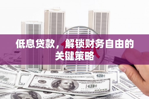 阜康低息贷款，解锁财务自由的关键策略