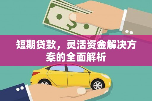 阜康短期贷款，灵活资金解决方案的全面解析