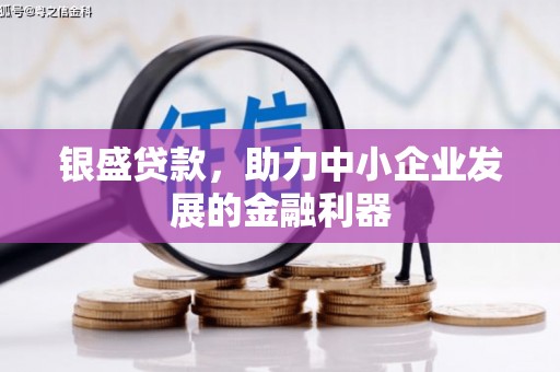 阜康银盛贷款，助力中小企业发展的金融利器