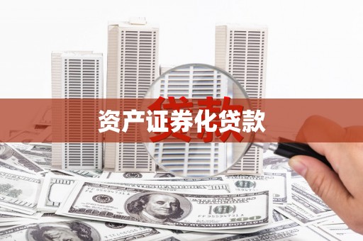 阜康资产证券化贷款