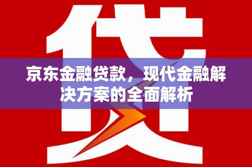 阜康京东金融贷款，现代金融解决方案的全面解析