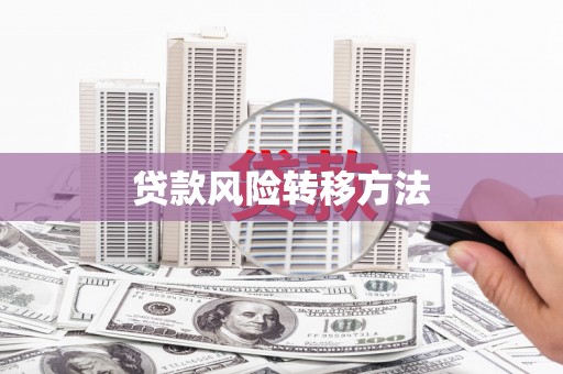 阜康贷款风险转移方法