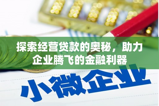 阜康探索经营贷款的奥秘，助力企业腾飞的金融利器