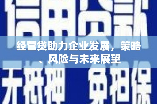 阜康经营贷助力企业发展，策略、风险与未来展望