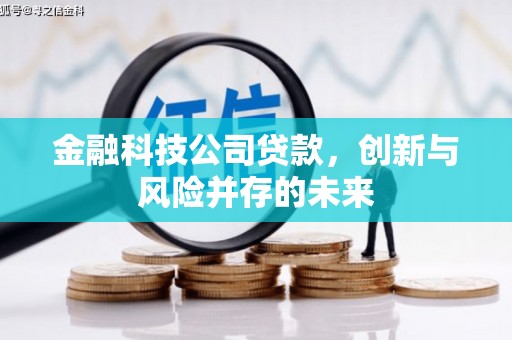 阜康金融科技公司贷款，创新与风险并存的未来