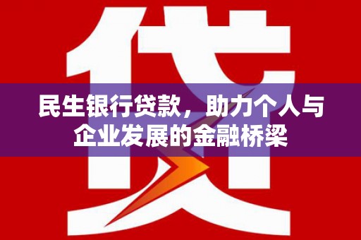 阜康民生银行贷款，助力个人与企业发展的金融桥梁
