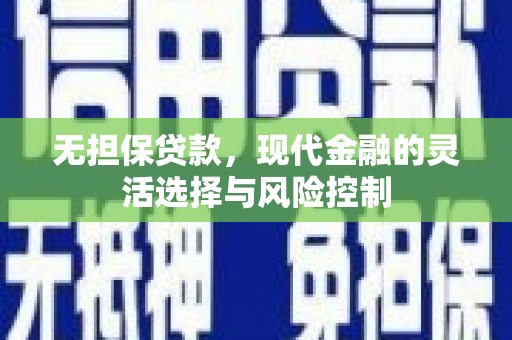 阜康无担保贷款，现代金融的灵活选择与风险控制