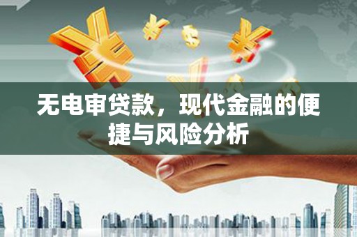 阜康无电审贷款，现代金融的便捷与风险分析