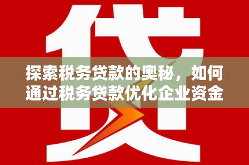 阜康探索税务贷款的奥秘，如何通过税务贷款优化企业资金流