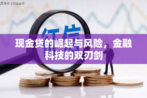 阜康现金贷的崛起与风险，金融科技的双刃剑