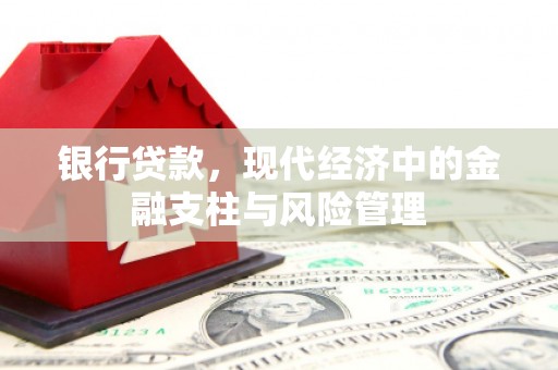 阜康银行贷款，现代经济中的金融支柱与风险管理