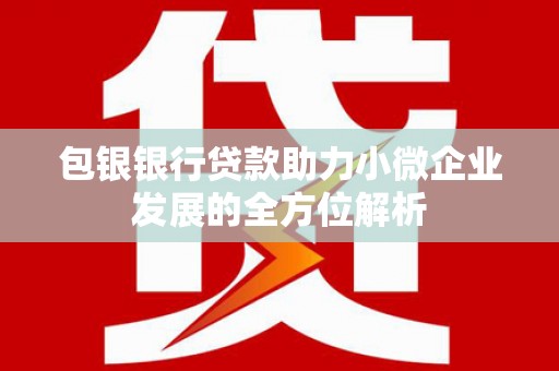 阜康包银银行贷款助力小微企业发展的全方位解析