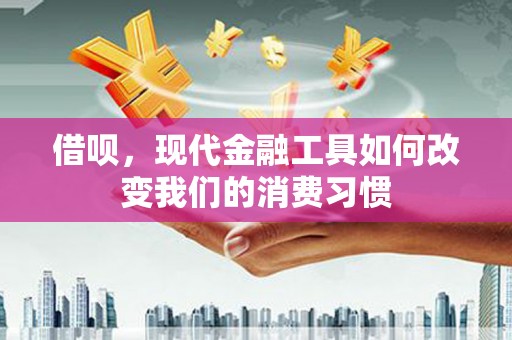 阜康借呗，现代金融工具如何改变我们的消费习惯