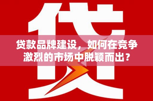 阜康贷款品牌建设，如何在竞争激烈的市场中脱颖而出？