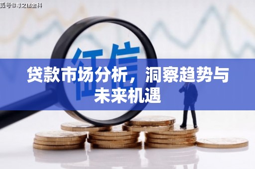 阜康贷款市场分析，洞察趋势与未来机遇