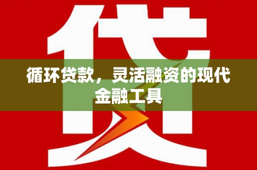 阜康循环贷款，灵活融资的现代金融工具
