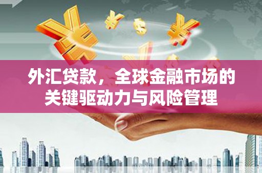 阜康外汇贷款，全球金融市场的关键驱动力与风险管理