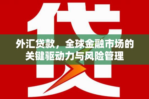 阜康外汇贷款，全球金融市场的关键驱动力与风险管理