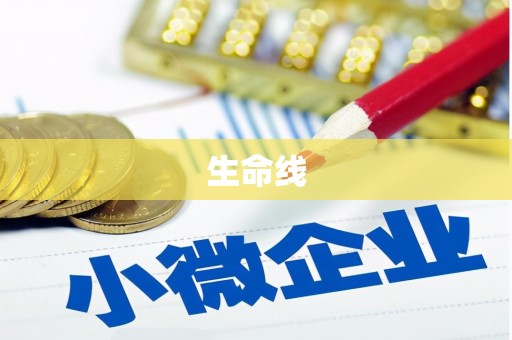 阜康生命线