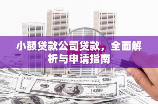 阜康小额贷款公司贷款，全面解析与申请指南