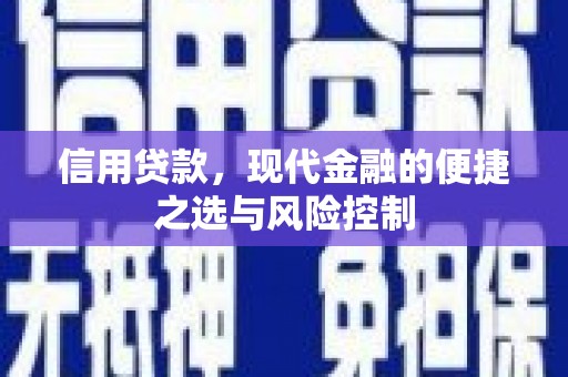 阜康信用贷款，现代金融的便捷之选与风险控制