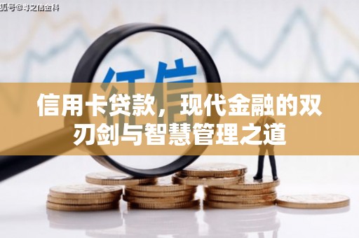 阜康信用卡贷款，现代金融的双刃剑与智慧管理之道