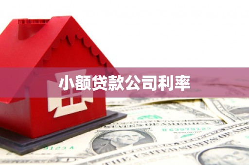 阜康小额贷款公司利率
