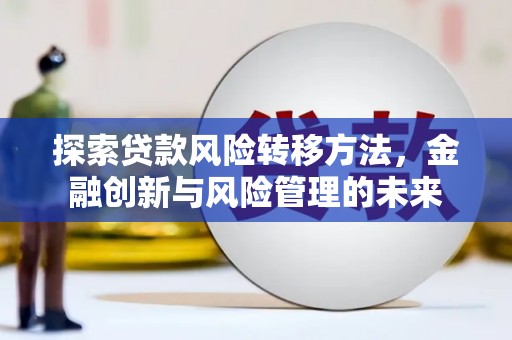 阜康探索贷款风险转移方法，金融创新与风险管理的未来