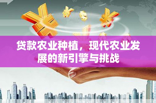 阜康贷款农业种植，现代农业发展的新引擎与挑战