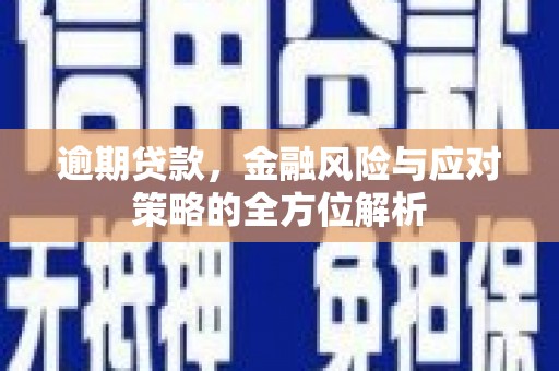 阜康逾期贷款，金融风险与应对策略的全方位解析