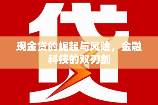 阜康现金贷的崛起与风险，金融科技的双刃剑