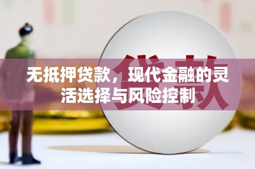 阜康无抵押贷款，现代金融的灵活选择与风险控制