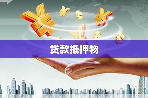 阜康贷款抵押物