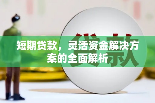 阜康短期贷款，灵活资金解决方案的全面解析