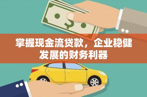 阜康掌握现金流贷款，企业稳健发展的财务利器