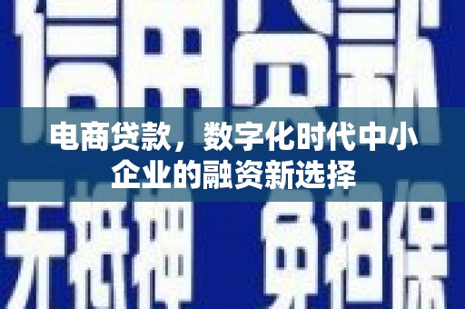 阜康电商贷款，数字化时代中小企业的融资新选择