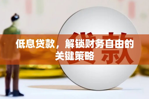阜康低息贷款，解锁财务自由的关键策略