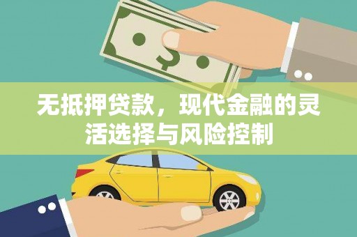 阜康无抵押贷款，现代金融的灵活选择与风险控制
