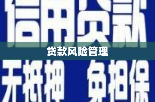 阜康贷款风险管理