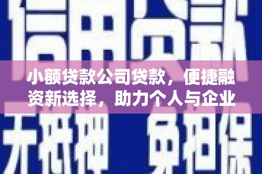 阜康小额贷款公司贷款，便捷融资新选择，助力个人与企业成长