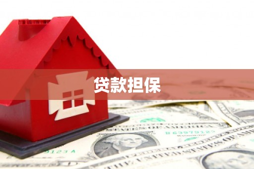 阜康贷款担保