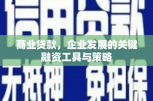 阜康商业贷款，企业发展的关键融资工具与策略