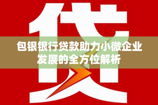阜康包银银行贷款助力小微企业发展的全方位解析