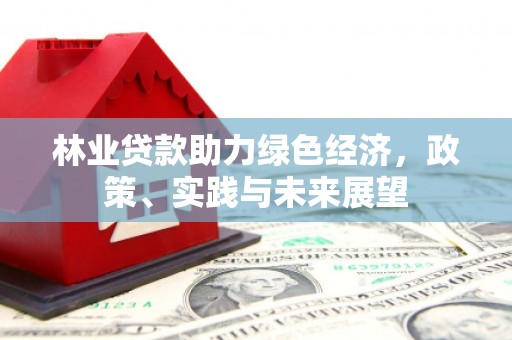 阜康林业贷款助力绿色经济，政策、实践与未来展望