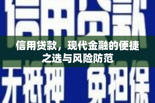 阜康信用贷款，现代金融的便捷之选与风险防范