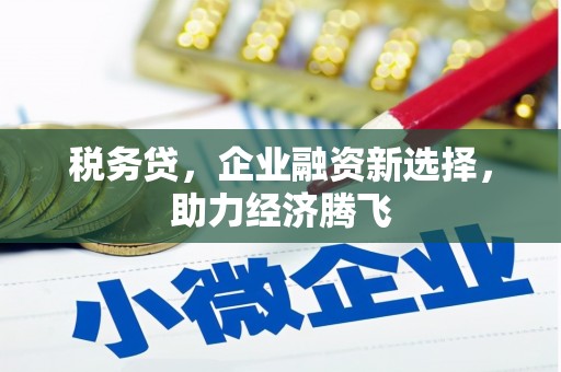 阜康税务贷，企业融资新选择，助力经济腾飞