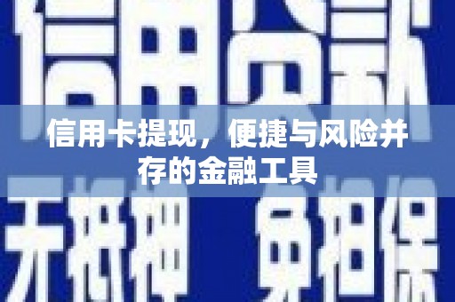 阜康信用卡提现，便捷与风险并存的金融工具