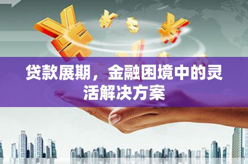 阜康贷款展期，金融困境中的灵活解决方案
