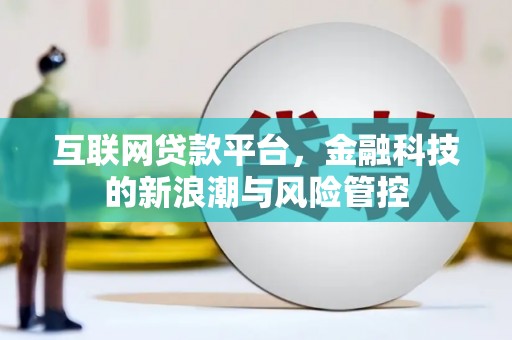 阜康互联网贷款平台，金融科技的新浪潮与风险管控