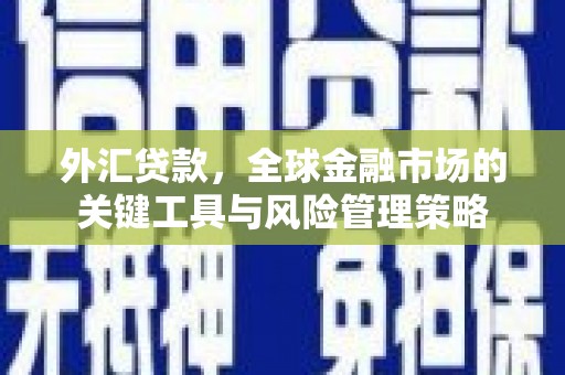阜康外汇贷款，全球金融市场的关键工具与风险管理策略